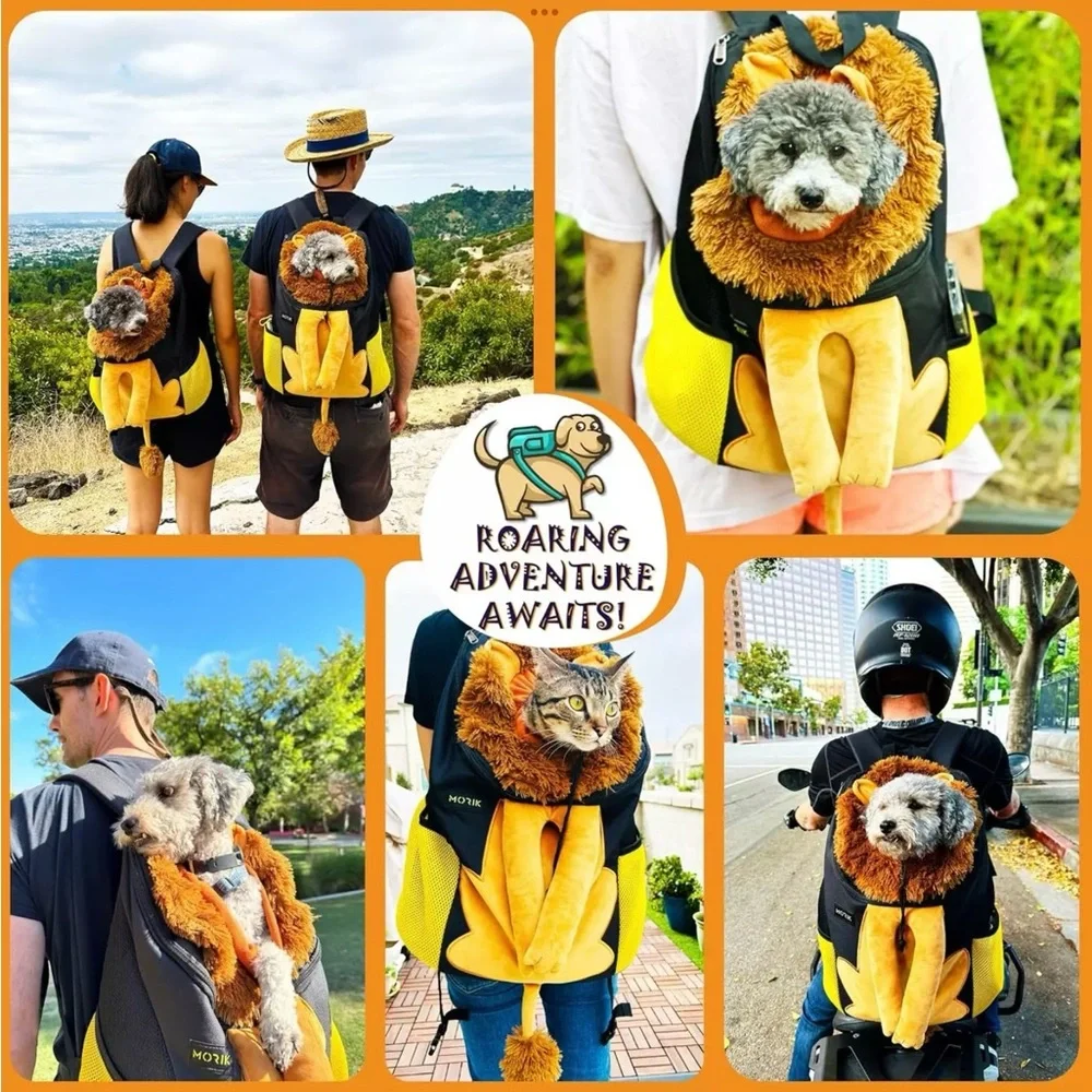 MORIK lion den